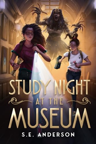 Study Night at the Museum
