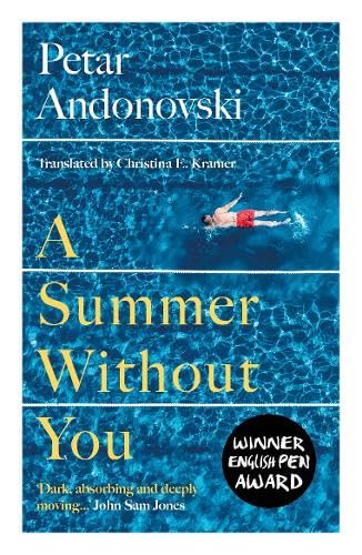 A Summer Without You von Parthian Books