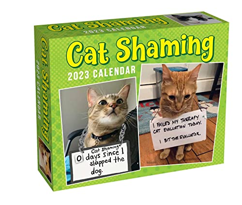 Cat Shaming 2023 Day-to-Day Calendar von Andrews McMeel Publishing
