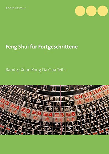Feng Shui für Fortgeschrittene: Band 4: Xuan Kong Da Gua Teil 1