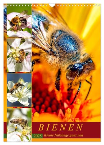 BIENEN - Kleine Nützlinge ganz nah (Wandkalender 2025 DIN A3 hoch), CALVENDO Monatskalender von CALVENDO