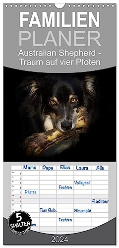 Familienplaner 2024 - Australian Shepherd - Traum auf vier Pfoten mit 5 Spalten (Wandkalender, 21 cm x 45 cm) CALVENDO