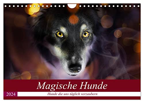 Magische Hunde - Hunde die uns täglich verzaubern (Wandkalender 2024 DIN A4 quer), CALVENDO Monatskalender von CALVENDO