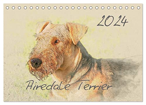Airedale Terrier 2024 (Tischkalender 2024 DIN A5 quer), CALVENDO Monatskalender