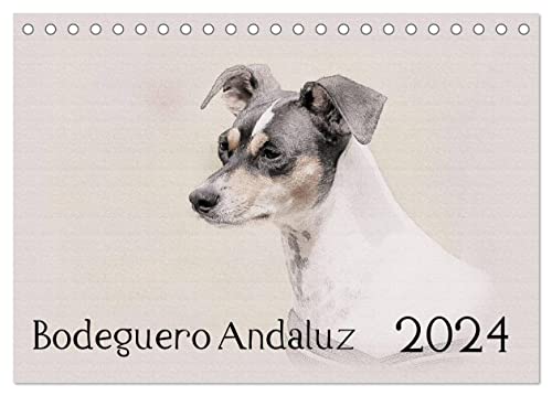 Bodeguero Andaluz 2024 (Tischkalender 2024 DIN A5 quer), CALVENDO Monatskalender von CALVENDO