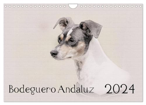 Bodeguero Andaluz 2024 (Wandkalender 2024 DIN A4 quer), CALVENDO Monatskalender: Bodegueros - Wunderschön gestalteter Kalender. Jedes Monatsmotiv gleicht einem kleinen Kunstwerk.