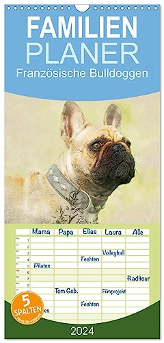 Familienplaner 2024 - Französische Bulldoggen 2024 mit 5 Spalten (Wandkalender, 21 cm x 45 cm) CALVENDO