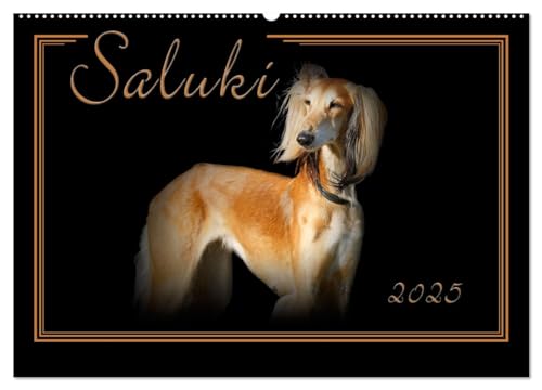 Saluki 2025 (Wandkalender 2025 DIN A2 quer), CALVENDO Monatskalender von CALVENDO