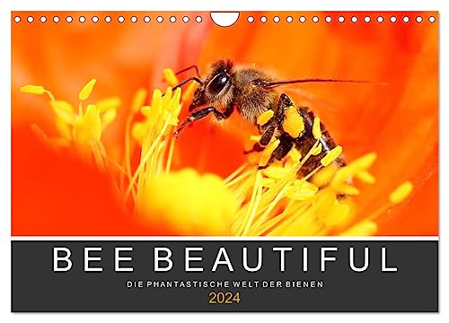 Bee Beautiful - Die phantastische Welt der Bienen (Wandkalender 2024 DIN A4 quer), CALVENDO Monatskalender von CALVENDO