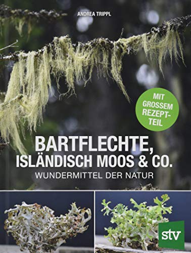 Bartflechte, Isländisch Moos & Co.: Wundermittel der Natur; Mit großem Rezeptteil von STOCKER, L
