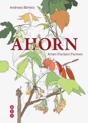 Ahorn: Arten | Farben | Formen