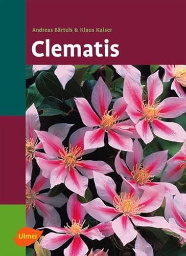 Clematis Clematis
