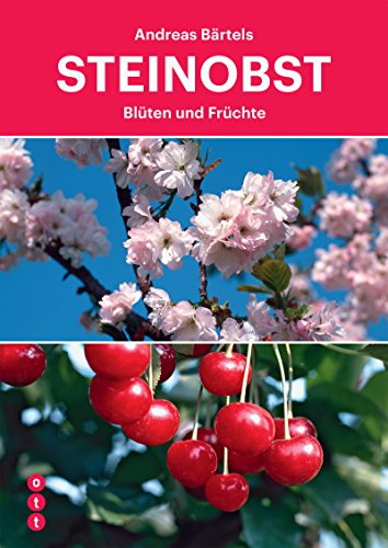 Steinobst: Blüten und Früchte von Ott-Verlag