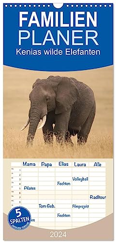 Familienplaner 2024 - Kenias wilde Elefanten mit 5 Spalten (Wandkalender, 21 cm x 45 cm) CALVENDO von CALVENDO