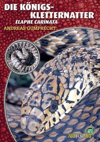 Die Königskletternatter: Elaphe carinata (Terrarien-Bibliothek)