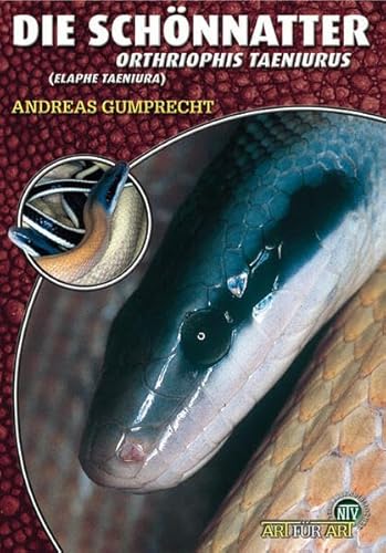 Die Schönnatter: Orthriophis taeniurus (Elaphe taeniura) (Buchreihe Art für Art Terraristik)