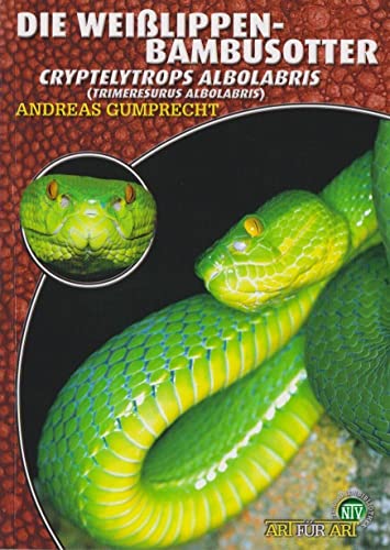 Die Weißlippen-Bambusotter: Cryptelytrops albolabris (Trimeresurus albolabris) von NTV Natur und Tier-Verlag