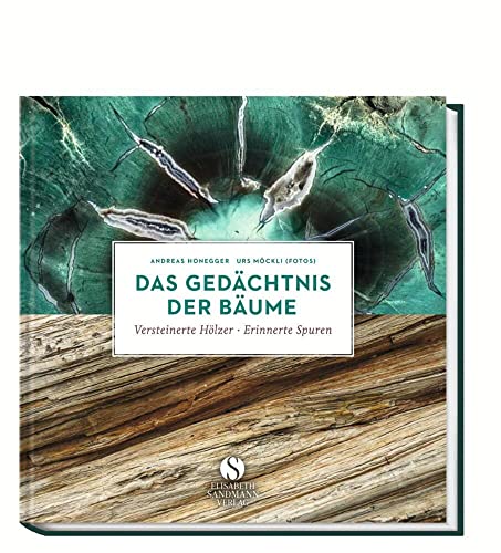Das Gedächtnis der Bäume: Versteinerte Hölzer - erinnerte Spuren Das Gedächtnis der Bäume: Versteinerte Hölzer - erinnerte Spuren von Sandmann, München