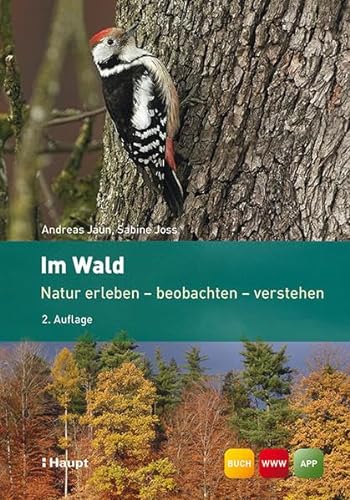 Im Wald: Natur erleben - beobachten - verstehen von Haupt Verlag AG
