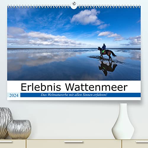 Erlebnis Wattenmeer (hochwertiger Premium Wandkalender 2024 DIN A2 quer), Kunstdruck in Hochglanz