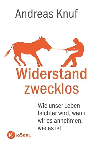 Widerstand zwecklos: Wie unser Leben leichter wird, wenn wir es annehmen, wie es ist