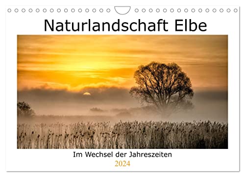 Naturlandschaft Elbe - Im Wechsel der Jahreszeiten (Wandkalender 2024 DIN A4 quer), CALVENDO Monatskalender von CALVENDO
