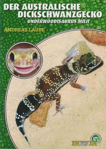 Der Australische Dickschwanzgecko: Underwoodisaurus milii (Buchreihe Art für Art Terraristik)