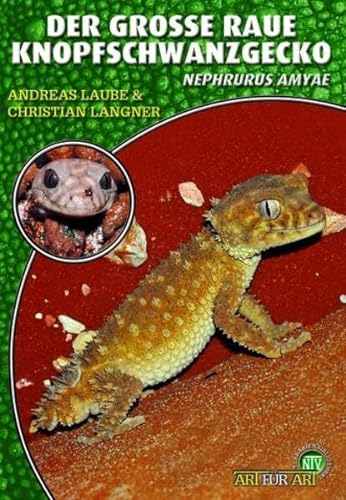 Der Große Raue Knopfschwanzgecko: Nephrurus amyae (Buchreihe Art für Art Terraristik)