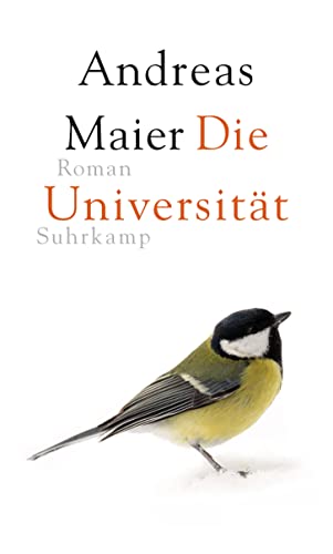 Die Universität: Roman (Ortsumgehung, Band 6)