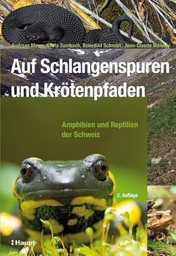 Auf Schlangenspuren und Krötenpfaden: Amphibien und Reptilien der Schweiz Auf Schlangenspuren und Krötenpfaden: Amphibien und Reptilien der Schweiz von Haupt Verlag AG
