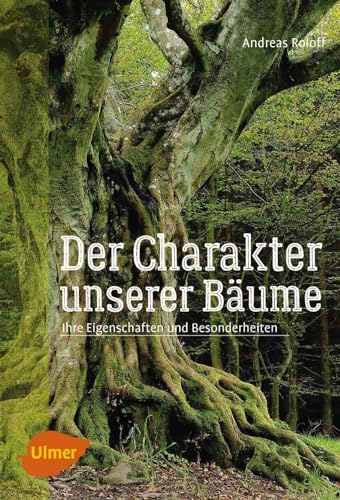 Der Charakter unserer Bäume: Ihre Eigenschaften und Besonderheiten