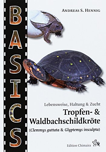 Tropfen- und Waldbachschildkröte: (Clemmys guttata & Glyptemys insculpta). Lebensweise, Haltung & Zucht