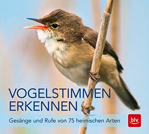 Vogelstimmen erkennen / CD: Gesänge und Rufe von 75 heimischen Arten (BLV Vögel) von BLV Buchverlag GmbH & Co.