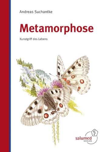 Metamorphose: Kunstgriff des Lebens