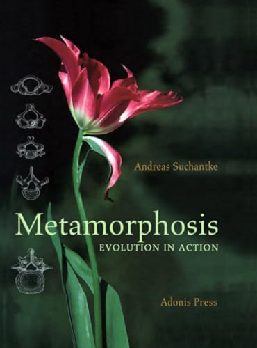Metamorphosis: Evolution in Action (Adonis Press)