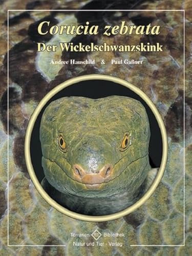Corucia zebrata: Der Wickelschwanzskink (Terrarien-Bibliothek)