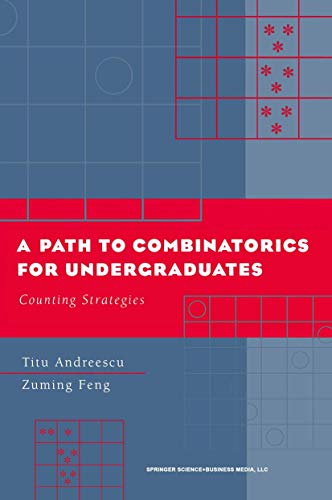 A Path to Combinatorics for Undergraduates: Counting Strategies von Birkhäuser