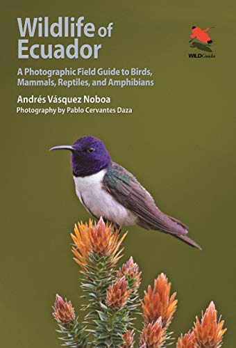 Wildlife of Ecuador: A Photographic Field Guide to Birds, Mammals, Reptiles, and Amphibians (Wild Guides) von Princeton University Press