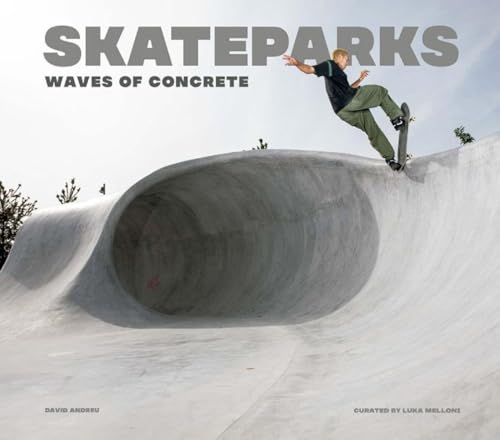 SKATEPARKS: Waves of concrete von booQs publishers