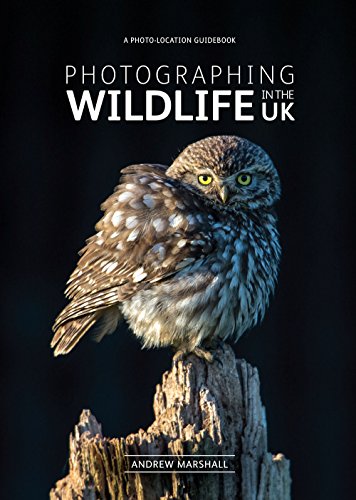 Photographing Wildlife in the UK: Where and How to Take Great Wildlife Photographs