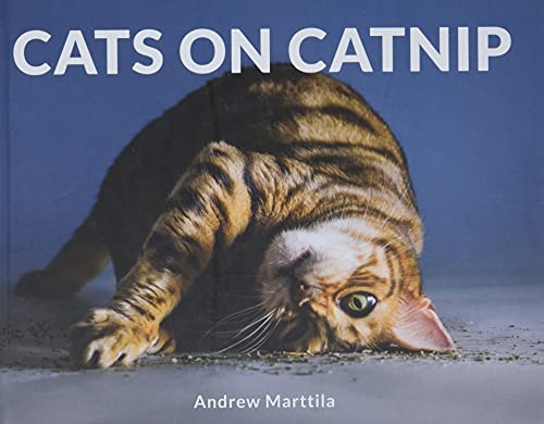 Cats on Catnip von Running Press Adult