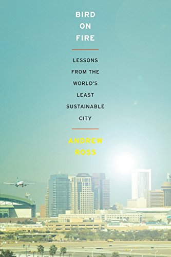 Bird on Fire: Lessons From The World's Least Sustainable City Bird on Fire: Lessons From The World's Least Sustainable City von Oxford University Press, Usa