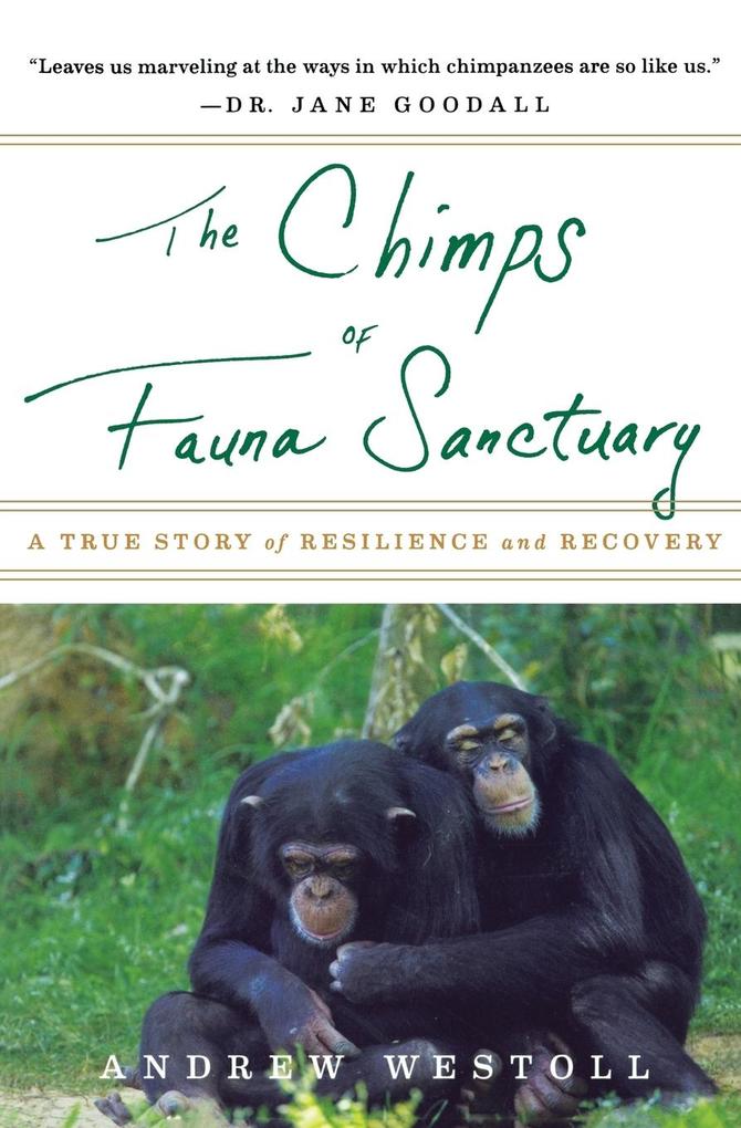 The Chimps of Fauna Sanctuary von Houghton Mifflin