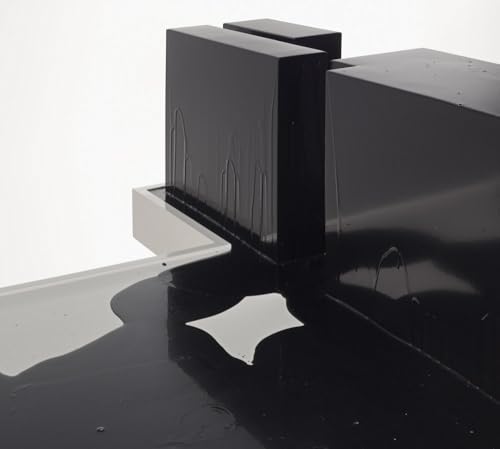 Nonmemory: Mike Kelley With Kelly Akashi, Meriem Bennani, Beatriz Cortez, Raúl De Nieves, Olivia Erlanger, Lauren Halsey and Max Hooper Schneider