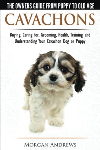 Cavachons - The Owner's Guide from Puppy to Old Age - Choosing, Caring for, Grooming, Health, Training and Understanding Your Cavachon Dog or Puppy Cavachons - The Owner's Guide from Puppy to Old Age - Choosing, Caring for, Grooming, Health, Training and Understanding Your Cavachon Dog or Puppy