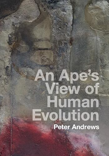 An Ape's View of Human Evolution von Cambridge University Press
