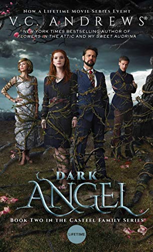 Dark Angel (Volume 2) (Casteel, Band 2)