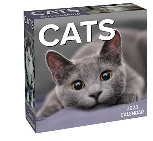 Cats – Katzen – Kalender 2023: Original Andrews McMeel-Tagesabreißkalender [Kalendar]
