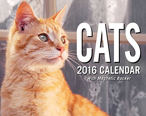 Cats 2016 Mini Day-to-Day Calendar