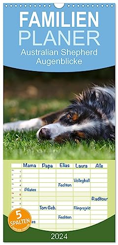 Familienplaner 2024 - Australian Shepherd - Augenblicke mit 5 Spalten (Wandkalender, 21 cm x 45 cm) CALVENDO